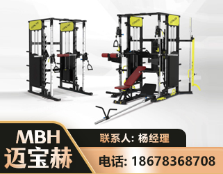 白银多功能综合训练器