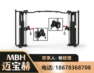 白银大飞鸟训练器