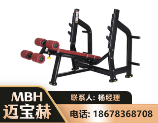 白银豪华下斜卧推架