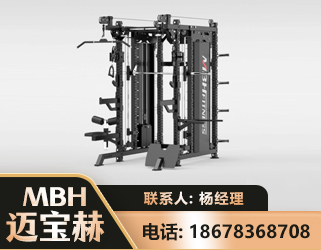 白银三合一综合训练架